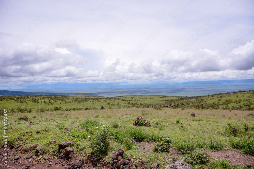Landscape in Ngorongoro