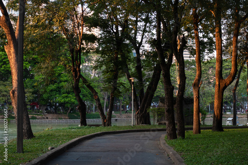 Beautiful walkway in the park evening with shade sunset.