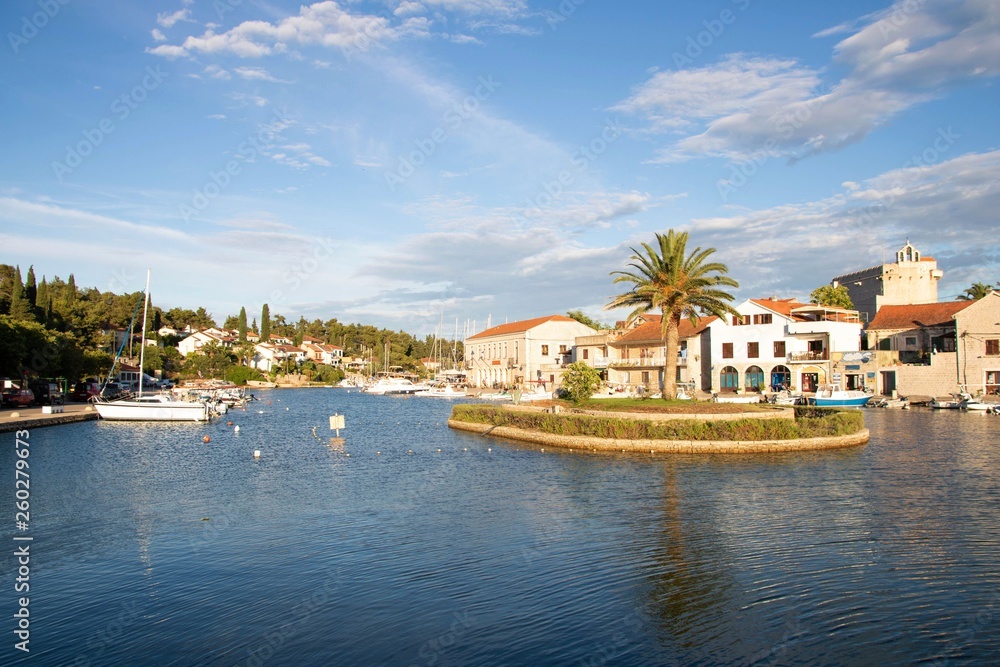 The palm on a small island in Village Vrboska on the north coast of the island of Hvar in Dalmatia, Croatia, in the Municipality of Jelsa.