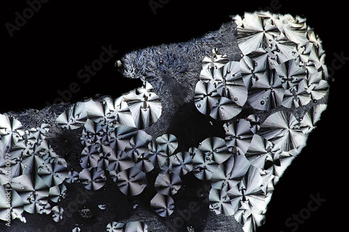 Fototapeta Naklejka Na Ścianę i Meble -  Crystals of ascorbic acid, microscope image