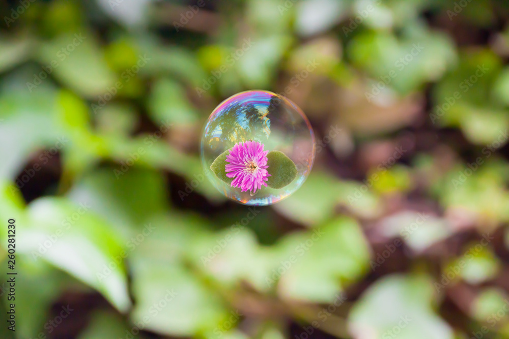 purple flower flying inside an air bubble purple flower flying inside an air bubble