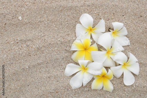 White frangipani flowers on the sand beach with copy space, horizontal