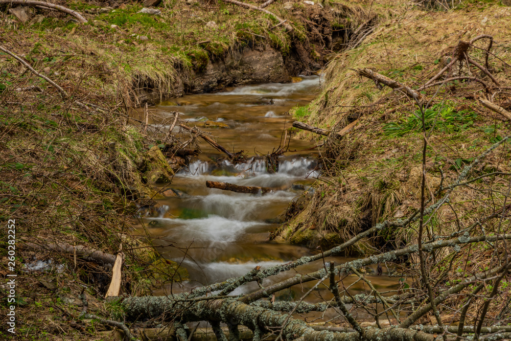 Big spring water on nice creek in spring day in Krusne mountains Big spring water on nice creek in spring day in Krusne mountains