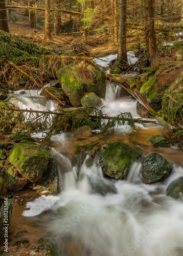 Big spring water on nice creek in spring day in Krusne mountains