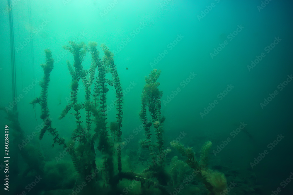 Fototapeta premium disaster ecology river underwater / landscape pollution ecology underwater