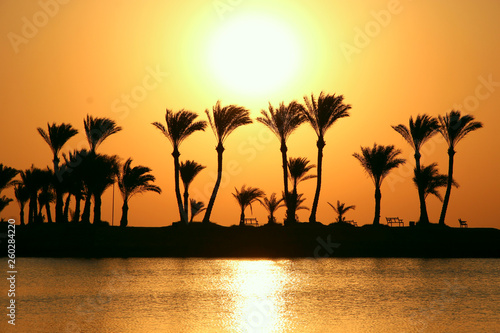 Silhouettes of palm trees on island on background of dawn. Bright sun over ocean