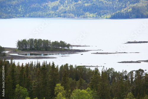 Forest, mountains and fjord photo