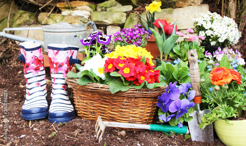 Farbenfrohe frühlingsblumen