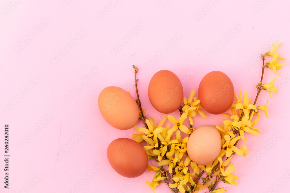 Easter background with chicken eggs and spring flowers. Top view with copy space.