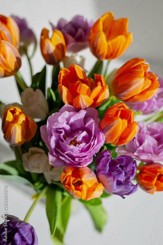 Bouquete of colorful spring tulips in a sunny day Bouquete of colorful spring tulips in a sunny day