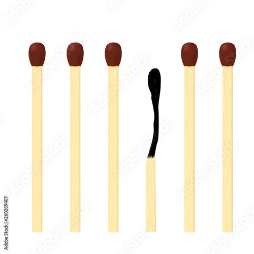 Matches. New matchsticks and one burnt