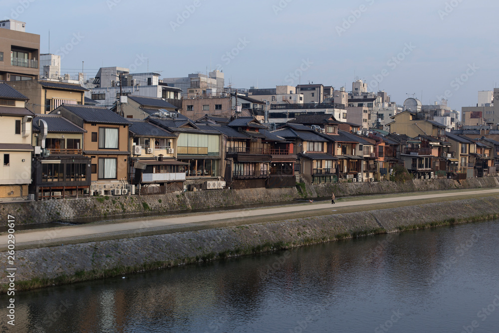 Fototapeta premium View of the Kamo River very early in the morning in Kyoto during the Hanami, typical houses of Kyoto