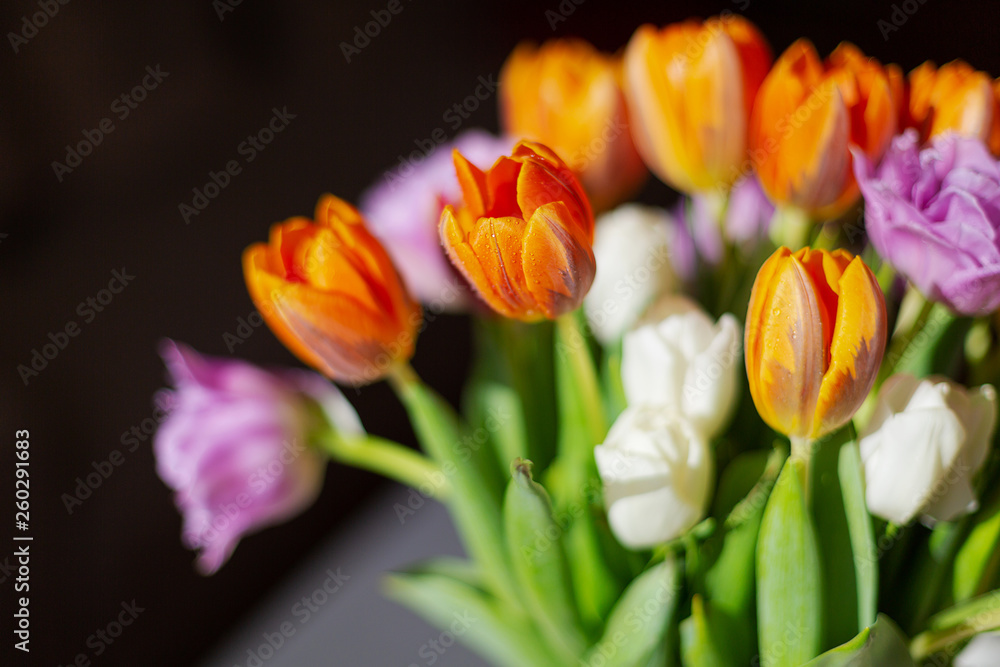Bouquete of colorful spring tulips in a sunny day Bouquete of colorful spring tulips in a sunny day
