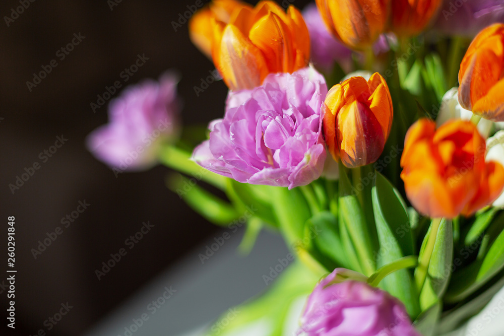 Bouquete of colorful spring tulips in a sunny day Bouquete of colorful spring tulips in a sunny day