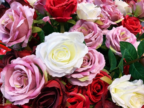 Natural pink roses.