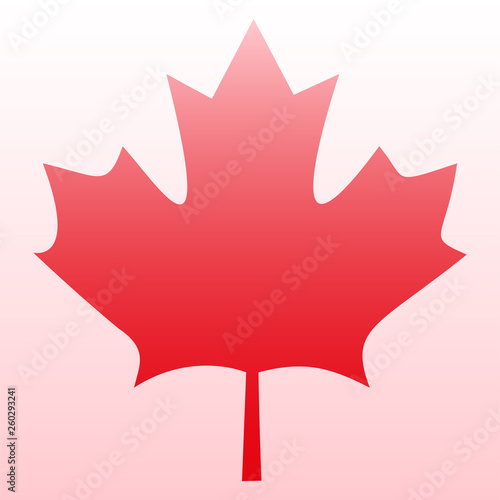 Red maple leaf