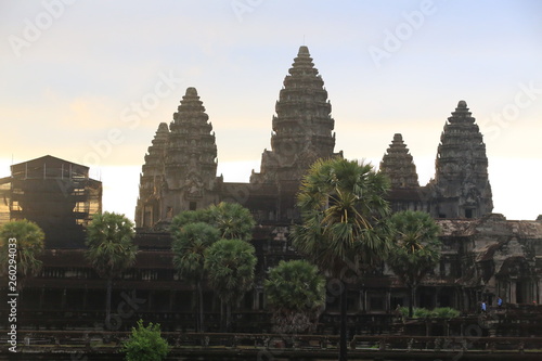 angkor wat in the forest