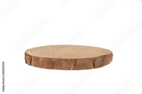 Wooden stump isolated on white background. Cross section of tree trunk.