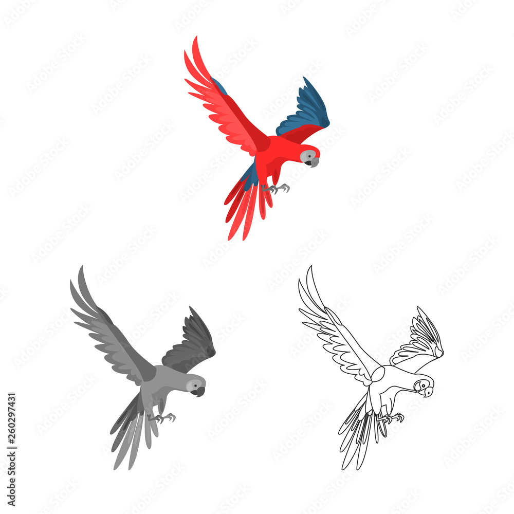 Obraz premium Flying macaw parrot colored, line and monochrome icon vector concept set