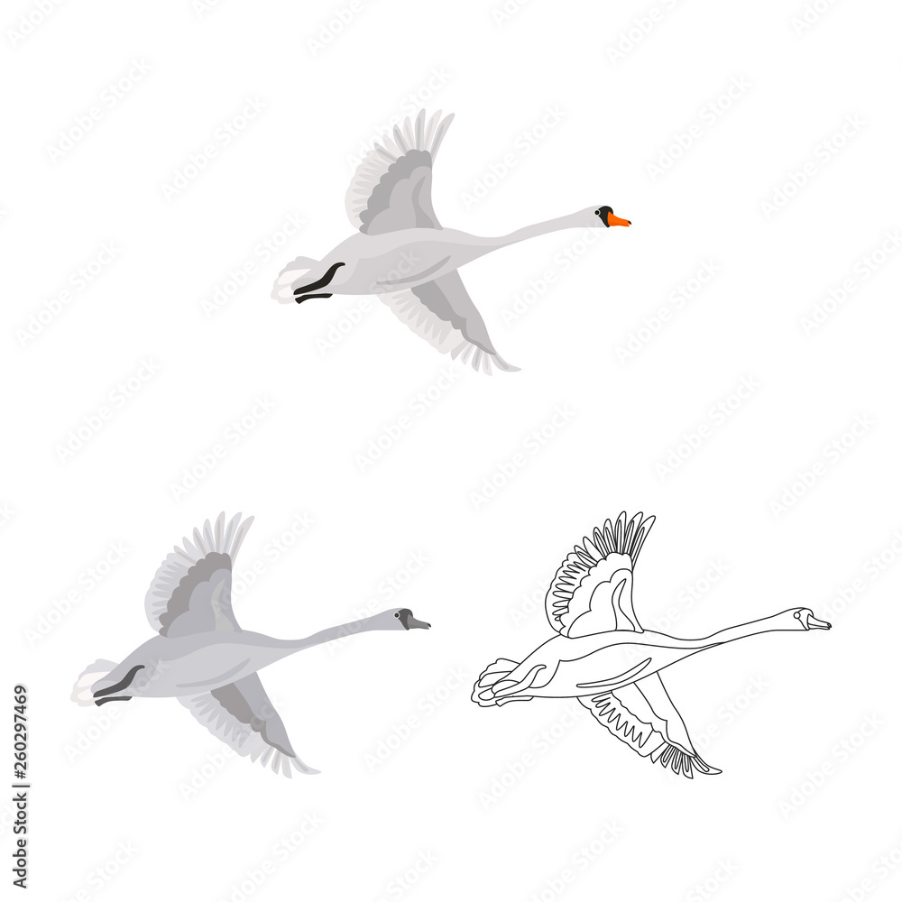 Fototapeta premium Flying swan colored, line and monochrome icon set vector concept