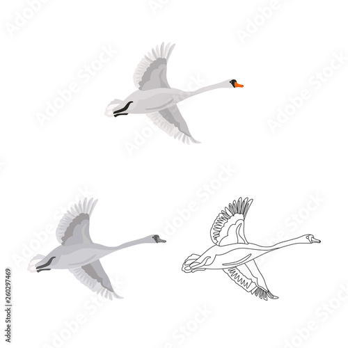 Flying swan colored, line and monochrome icon set vector concept