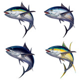 Big set of tuna fish isolated realistic illustration. Black fin tuna. Yellow tuna Atlantic tuna fish.
