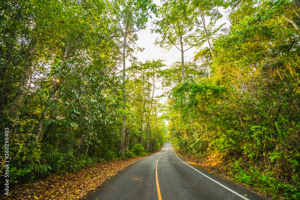 Obraz premium Tourist route in the national park area.11