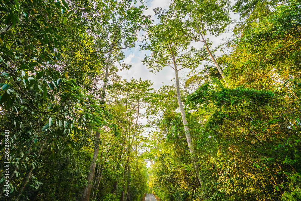 Tourist route in the national park area.12 Tourist route in the national park area.12
