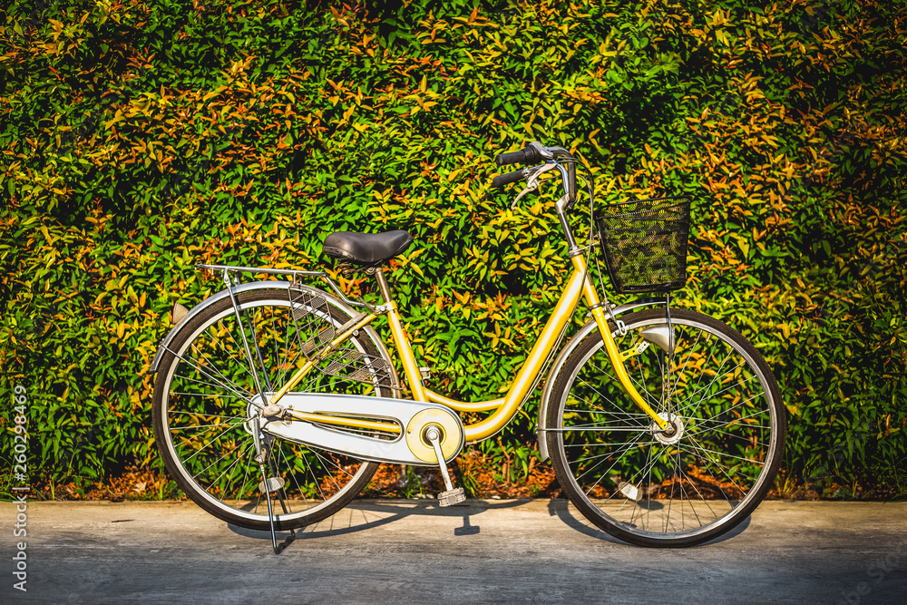 The vintage bicycle on colorful leaves wall background.