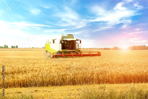 Combine harvester on a wheat field.