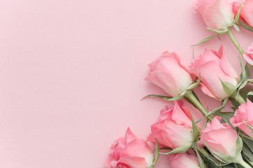 Floral composition bouquet roses in corner on pink pastel color background. Flat lay, top view. Delicate beautiful background for invitation, greeting card. Empty Free blank copy space for text