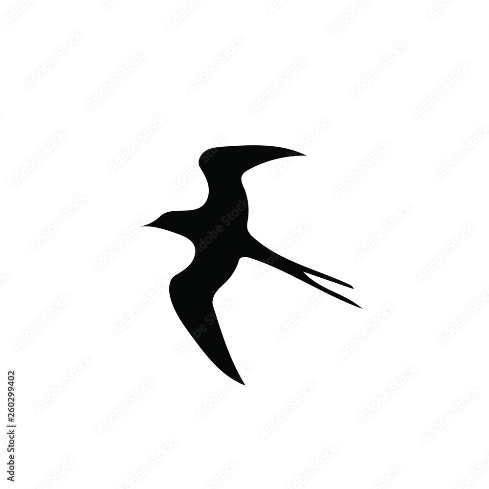 Fototapeta premium Bird