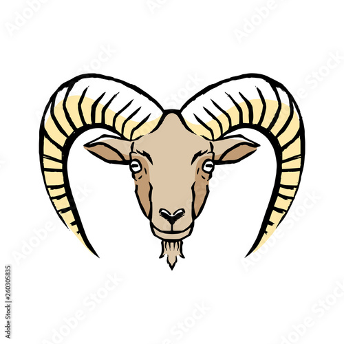 Mouflon Illustration Isolated On White Background