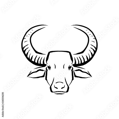 Buffalo Illustration Isolated On White Background