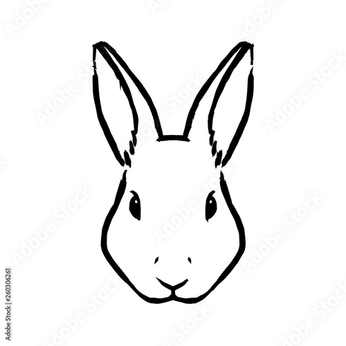 Rabbit Illustration Isolated On White Background