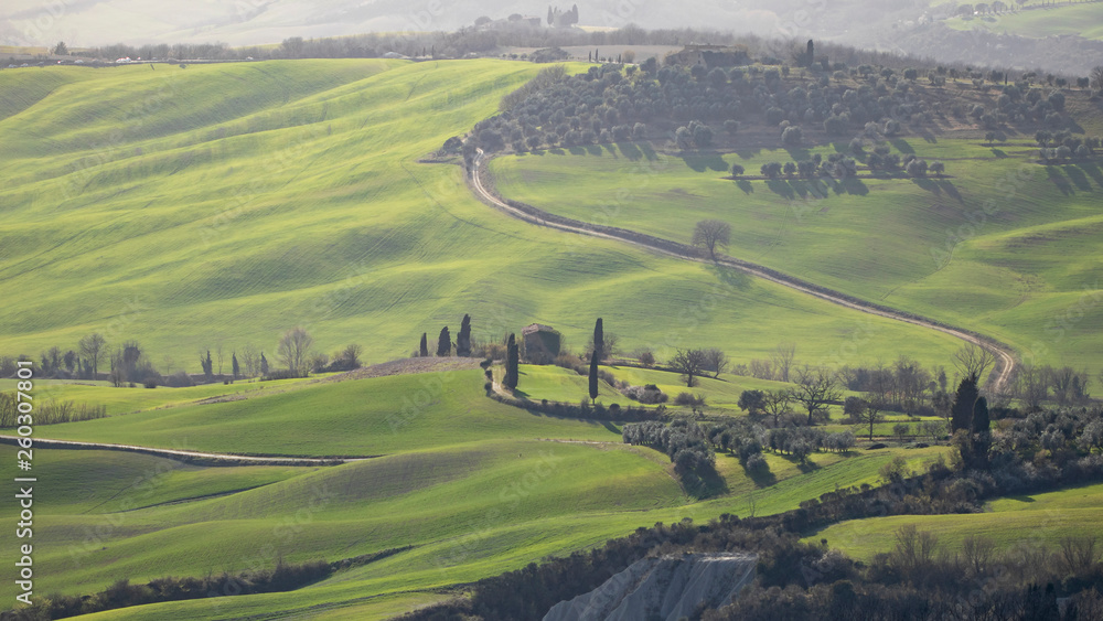 Green typical Tuscany landscape in Italian region with fields, meadow, hills and path with farmhouses