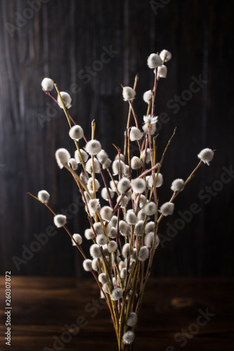 A bouquet of fluffy willow branches (Salix gracilistyla) on a wooden board background photo