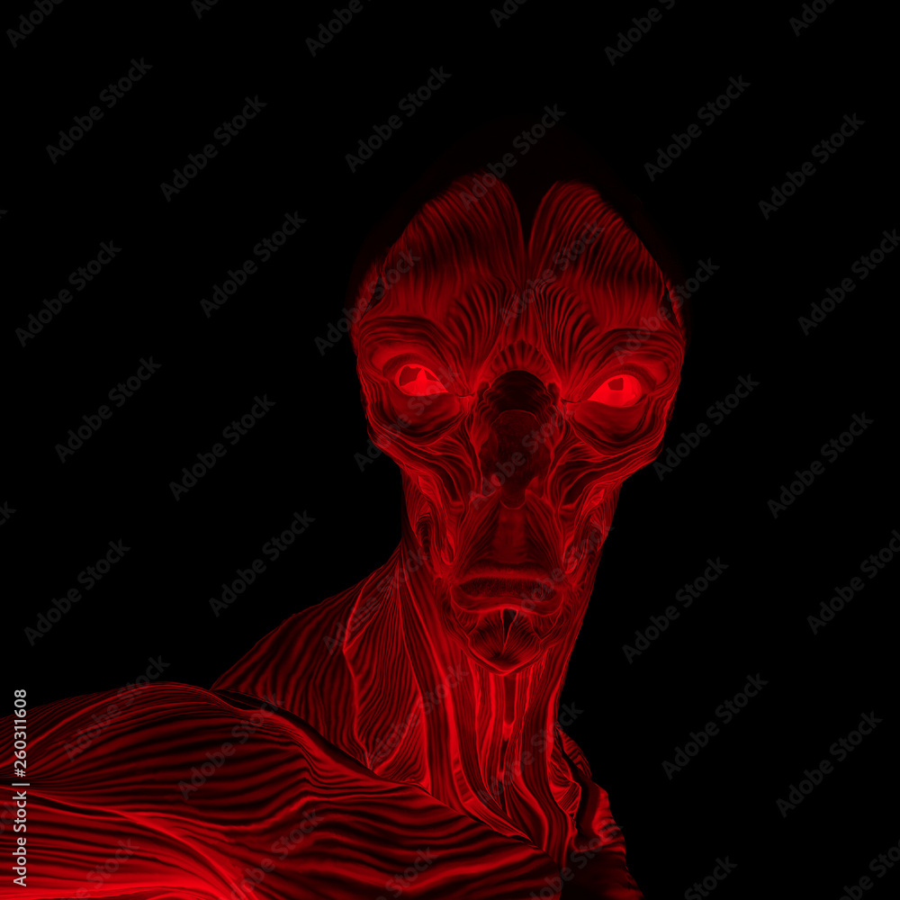 alien muscle maps on white background alien muscle maps on white background