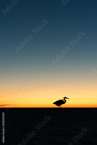 Heron Silhouette at Sunset © Mike Whalen