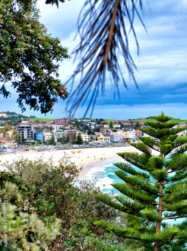 Photography Houses and trees of Bondi Beach coastline, Australia