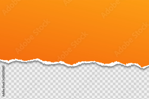 Tear paper or edge On a transparent background.