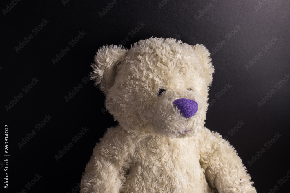 White custom hand made Teddy Bear with purple nose on dark background White custom hand made Teddy Bear with purple nose on dark background