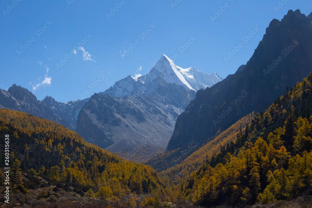 Naklejka premium Yading