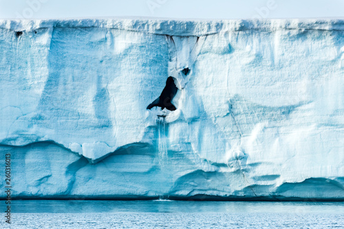 Cold landscapes and icescapes of Svalbard. photo