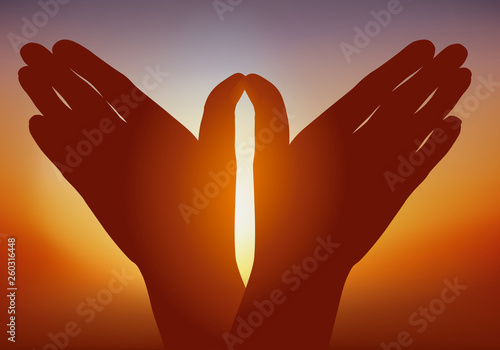Concept de la paix et de la liberté avec deux mains juxtaposées, prenant la forme d’un oiseau ouvrant ses ailes.