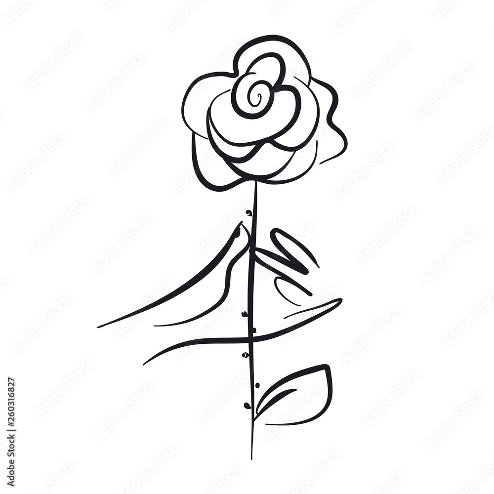 Hand holding rose hand drawn vector illustration Hand holding rose hand drawn vector illustration