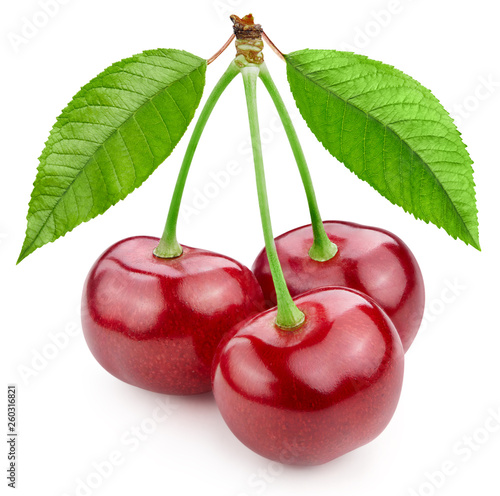 Cherry leaf isolated