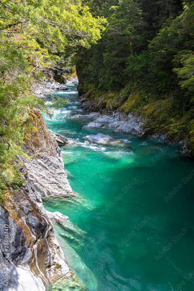 Haast River Landsborough Valley New Zealand Haast River Landsborough Valley New Zealand
