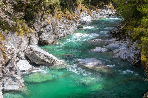 Haast River Landsborough Valley New Zealand © magann