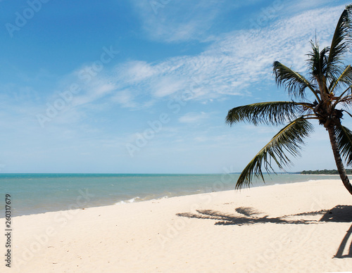 Fototapeta Naklejka Na Ścianę i Meble -  Beautiful tropical beach sea and sand with coconut palm tree on blue sky and white cloud for travel and vacation Porto Seguro - Brasil - 